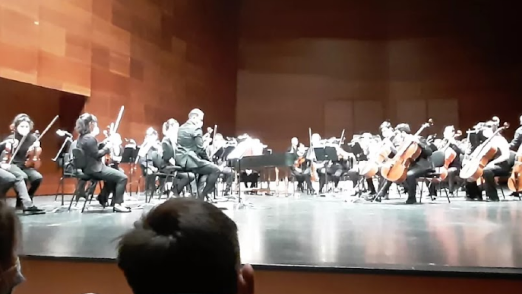 Orioko Herri Ikastolako LH1eko ikasleak orkestra sinfonikoa ikusten