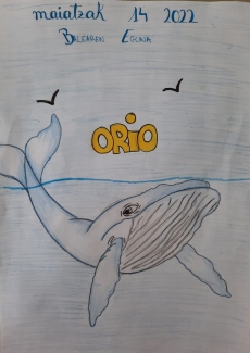 Orioko Balearen Eguna girotzeko lanean, Orioko Herri Ikastolan