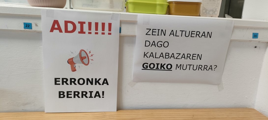 Erronka