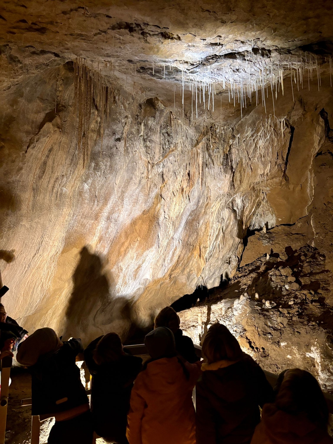 LH1eko ikasleek aurreko ostiralean Oñatiko Arrikrutzeko kobetara egin zuten irteera, Euskal Herrian desagertzeko arriskuan dauden animaliei buruzko proiektuari lotuta. 