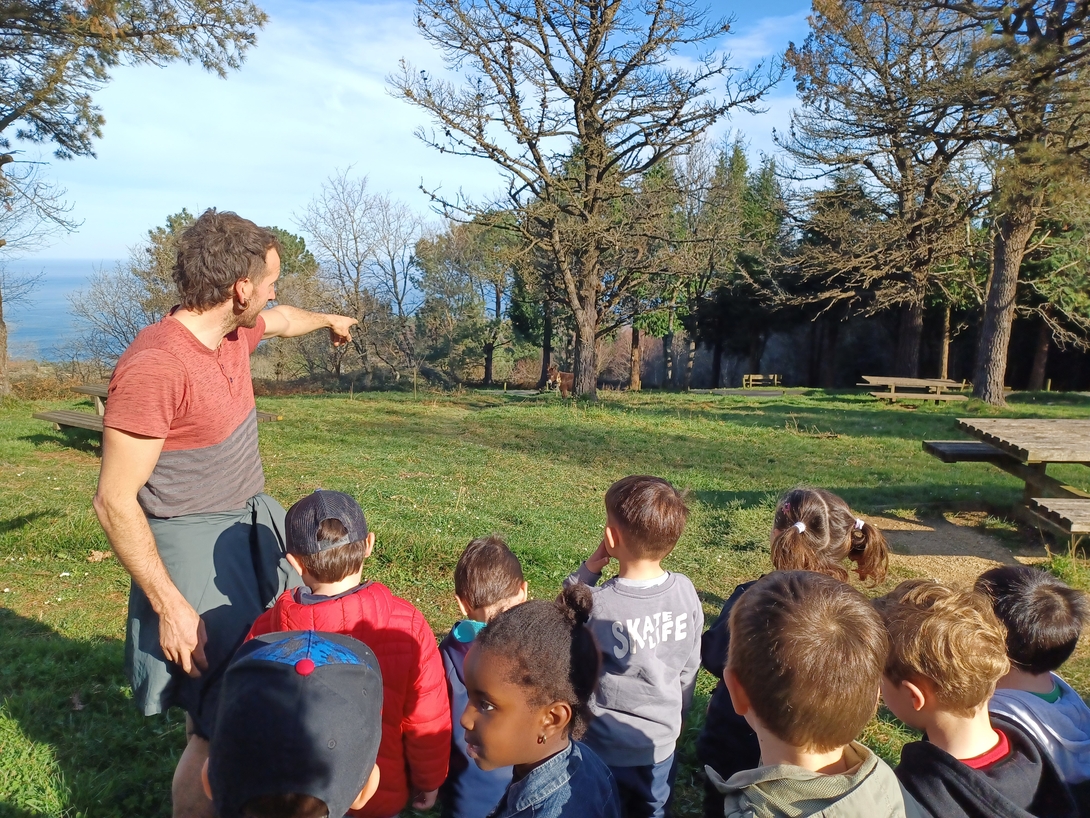 Non gogoa han txangoa!